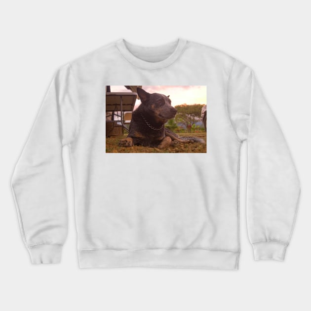 All Acd Crewneck Sweatshirt by pcfyi